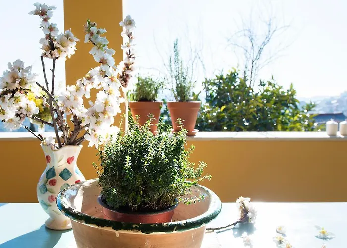 Youkali-harmony * Áno Korakiána